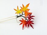 紅葉かんざし