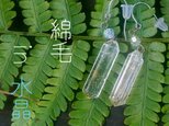 標本ピアス 綿毛in水晶の画像