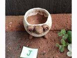 植木鉢 No.061の画像