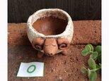 植木鉢 No.066の画像