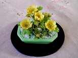 Sold (Y様 オーダー作品) 福寿草ー☆の画像