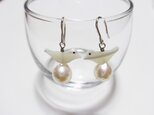 小鳥ピアス(あこや＆シェル）