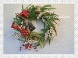 裏白wreathの画像