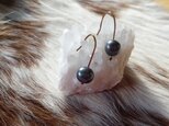 深いグレイパールのピアス