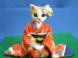 晴れ着に花簪の猫のお嬢さんの画像