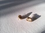 tutumi(ピアス)の画像
