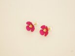 シェルパールキャッチの革花ピアス　ピンクの画像