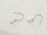 【１４KGF】小さな淡水パールのピアス