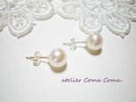 パール　ピアス　ホワイト