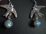 ラブラドライトPair of Birds Earringsの画像