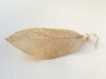 Real leaf pierced earring ,goldの画像