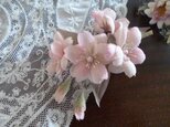 本絹ちりめんの桜＊花枝のコサージュの画像