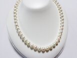 あこや真珠8ｍｍパールネックレス