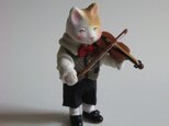 縮緬福猫　ヴァイオリンの画像