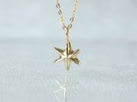 K10 Star Necklaceの画像