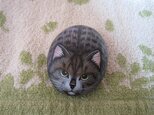 石猫   「100万回・・・の とらねこ」の画像