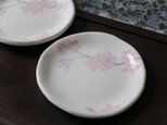 桜文　小皿