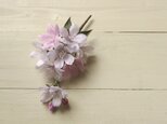 布の花　桜　ソメイヨシノのコサージュの画像