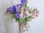 Sold オーダー作品(アヤメ)-☆の画像