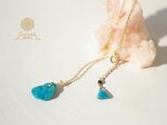 Turquoise*N*14kgfの画像