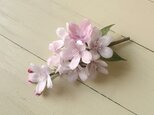 布の花　桜ソメイヨシノのコサージュの画像