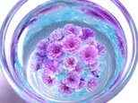 レジングラスフラワー・かすみ草Ｂ（紫）の画像
