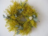 happy mimosa wreath Ⅲの画像