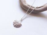 sv925 charm necklace/shellの画像