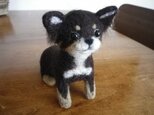 M様専用オーダー品注文ページ(チワワ)の画像