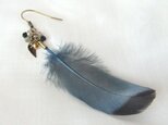 Feather earring...blue-grayの画像