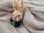 野うさぎのブローチの画像