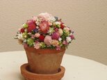 テラコッタにお花畑の画像