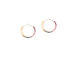 <SALE> FIREWORK Earringsの画像