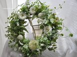 Early　summer　白と緑のリース