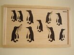 many penguins with fishの画像