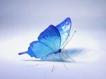 《再販》ガラスの蝶 ハッピーブルーユリシスの画像