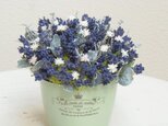 北の国から　ラベンダーのホーローポットアレンジ
