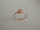 shell rose ring 14kgfの画像