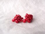 送料無料 赤珊瑚の刺繍ピアスの画像