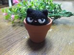 羊毛フェルト　黒猫in植木鉢の画像