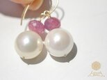 Shell pearl*pierceの画像