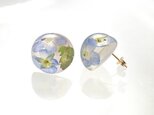 オオイヌノフグリ 瑠璃色のピアス 14kgf（イヤリング）