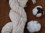 自家栽培コットンの手紡ぎ糸