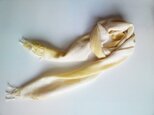 手織 コットンストール 黄色×生成グラデーション 巾30cmの画像