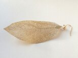 ＊ご予約品＊Real leaf pierced earringの画像