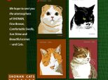 ポストカード 湘南Cats　4枚セットの画像