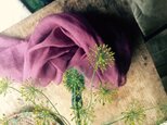 草木染めストール（ログウッド・紫色）の画像