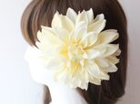 大きなダリアの髪飾り