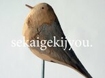 bird 〜 流木の小鳥の画像