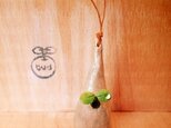 107.bud 粘土の鉢植えの画像